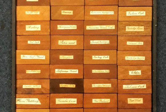 Learning Team&#8217;s Top 5 Curiosity Countdown