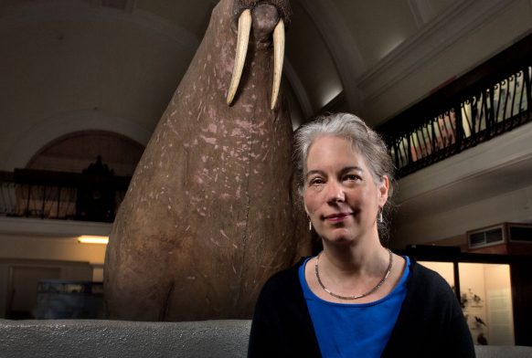 A woman is stood in front of a large taxidermy walrus in a gallery. She is seen from the shoulders up, wearing a back top over a blue one. She is looking into the camera.