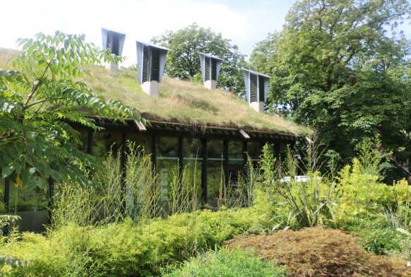 Poetry: The Wilsons and Wuhan