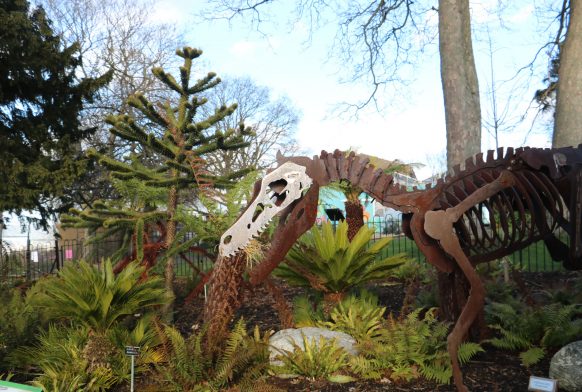 Travel back in time at the Prehistoric Garden