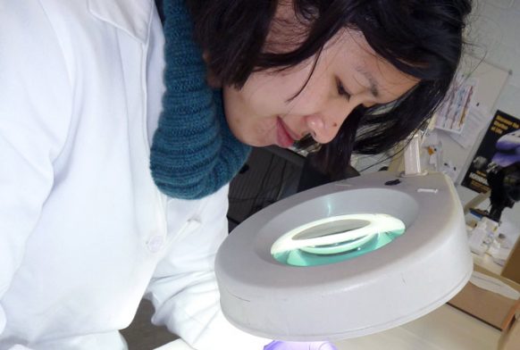 Borneo infant head deformation board