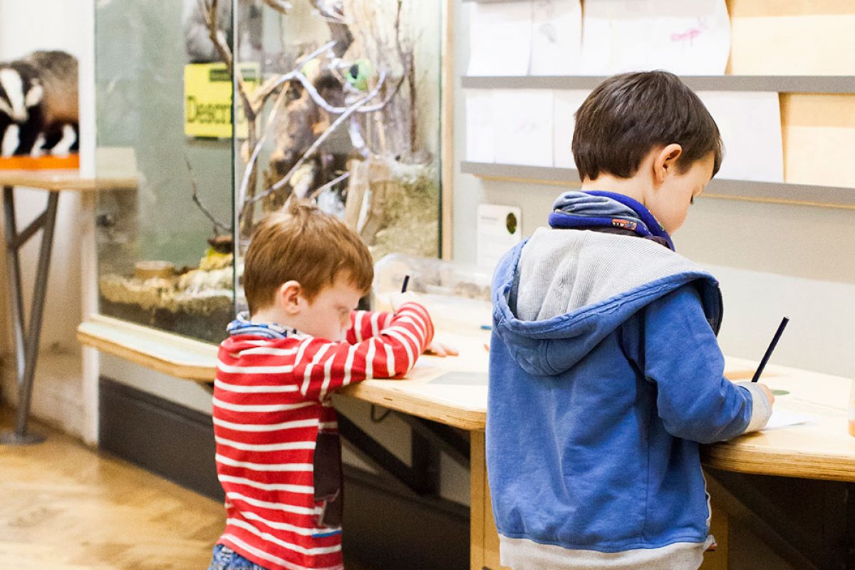 One child kneels and another one stands, Both have their back to the camera but are drawing on a wooden bench, next to a case with big branches inside. Just seen behind this is a taxidermy badger.