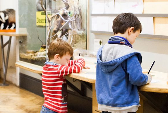 Horniman wins Best Large Museum in Family Friendly Museum Awards 2021