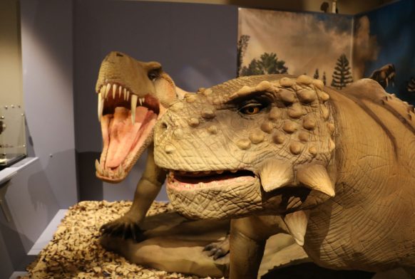 Amazing animatronics bring Permian Monsters back to life at the Horniman